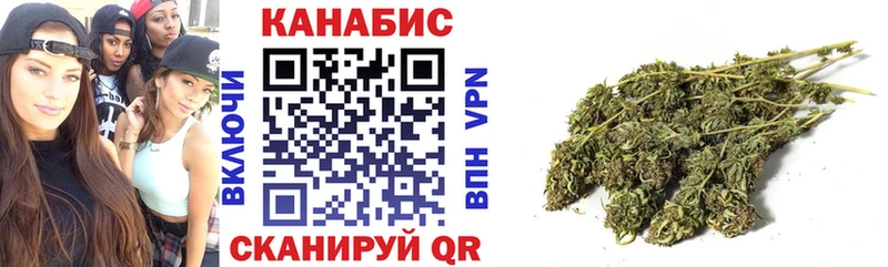 Бошки марихуана AK-47  как найти   Краснообск 